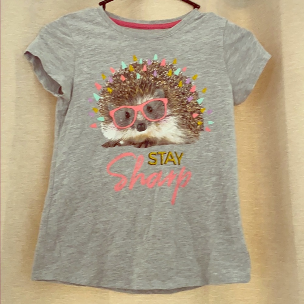 Gray Hedgehot t-shirt. Size youth 10/12